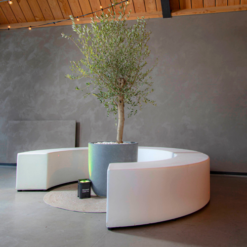 Witte bank cirkel