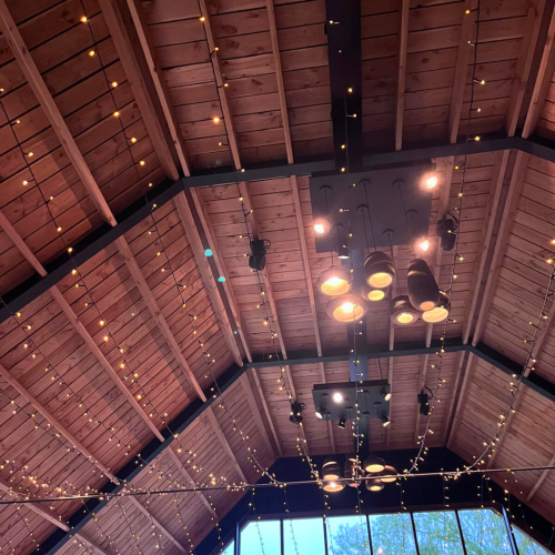 Slingers LED-lampjes binnen volledige feestzaal